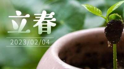 春氣始，萬物生-立春-上海邦森